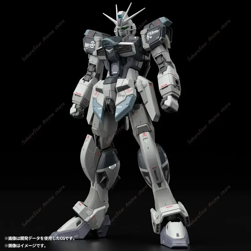 【In stock】Bandai PB Limited RG - Bandai Model Gundam Rg review and price